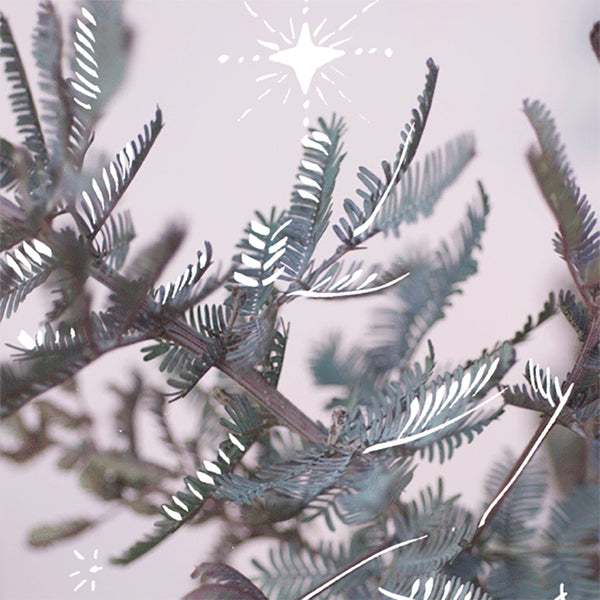 Have a magical Christmas with love from Ella Doran Homewares